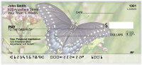 Butterflies and Blooms Personal Checks | BAI-85