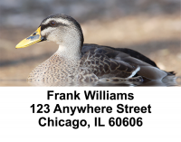 Ducks Address Labels | LBANI-30
