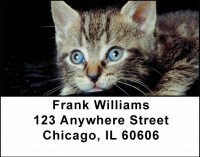 House Cats, the Kittens Address Labels | LBANI-87