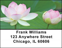 Lotus Buds Address Labels | LBBAF-23