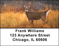 Deer Family of North America Address Labels | LBBAN-45